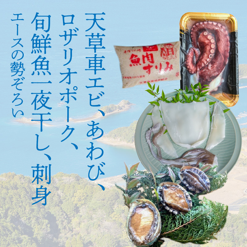 S059-010_天草わくわくボックスデラックス