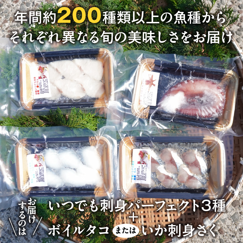 S059-021_天草わくわく旬魚刺身セットミニ（１人用）