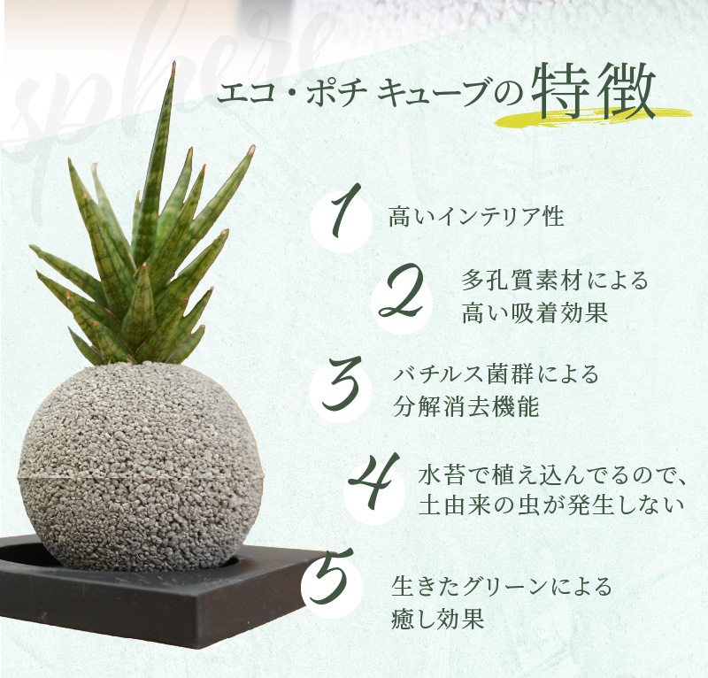 S060-115_エコ・ポチ　スフィア・ミニグレー　サンスベリア