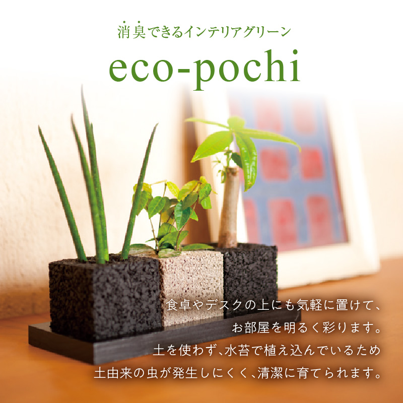 S060-119_エコ・アースでご利用可能なお買い物券　8,000円分