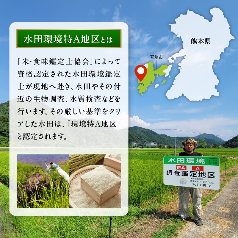 S061-003_天草五ッ星米卵かけご飯セット(お米 5kg 卵 30個)