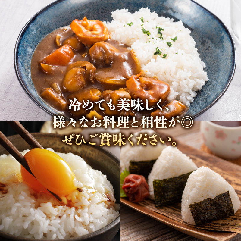 S061-009_令和7年産 特別栽培米 天草五ッ星米 精米 5kg