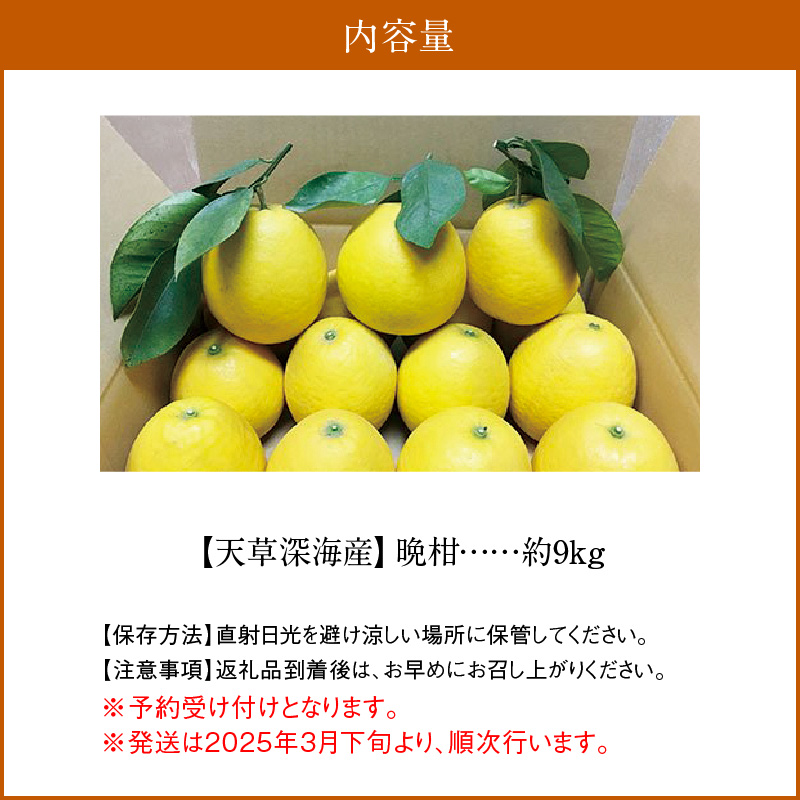 S062-001_【天草深海産】晩柑 約9㎏【先行受付】