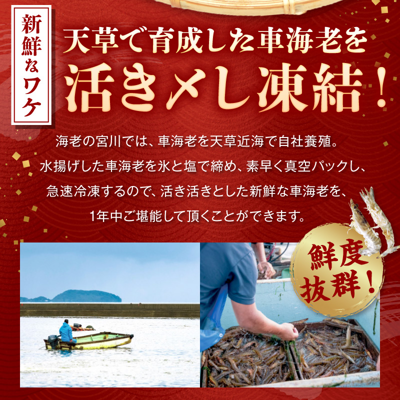 S065-004_活き〆冷凍車海老 1.5kg (500g×3パック)