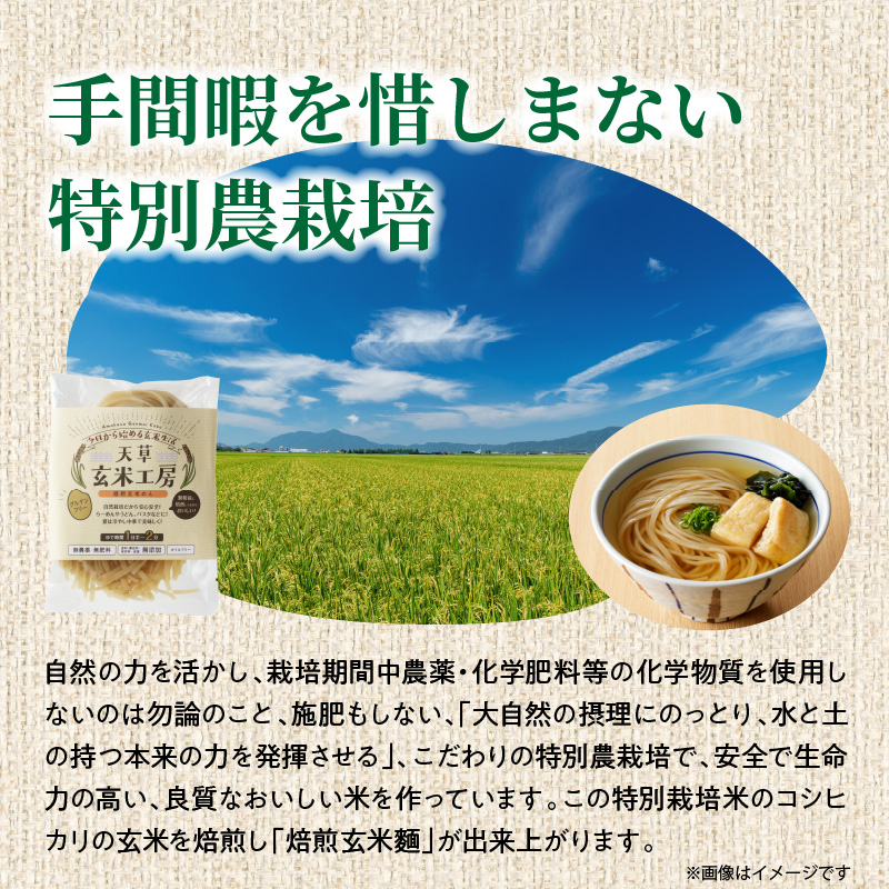 S067-029_特別栽培米からできた焙煎玄米麺（120g×10袋） 1200g