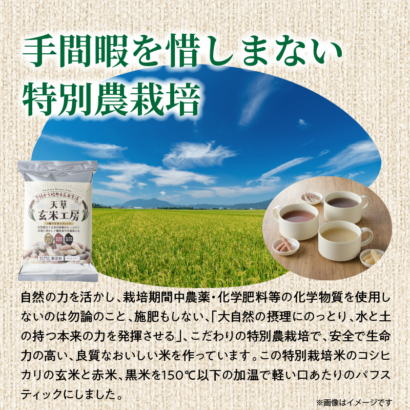 S067-035_特別栽培米からできた3種の玄米スティック　50g×5袋 250g