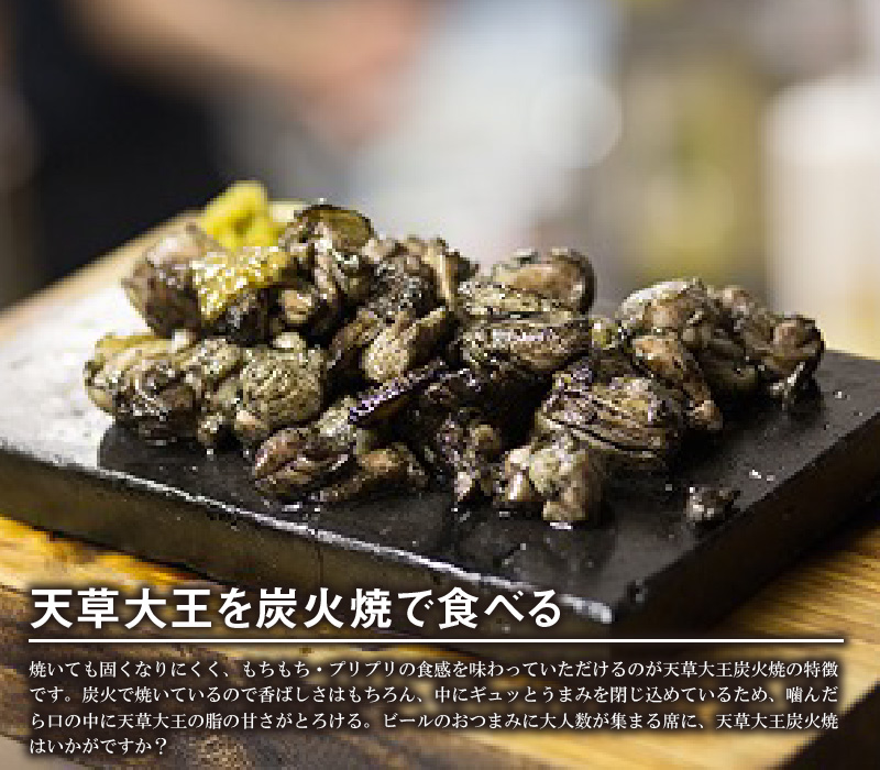 S081-003_天草大王炭火焼と天草大王炭火親子丼の素セット 各3袋入