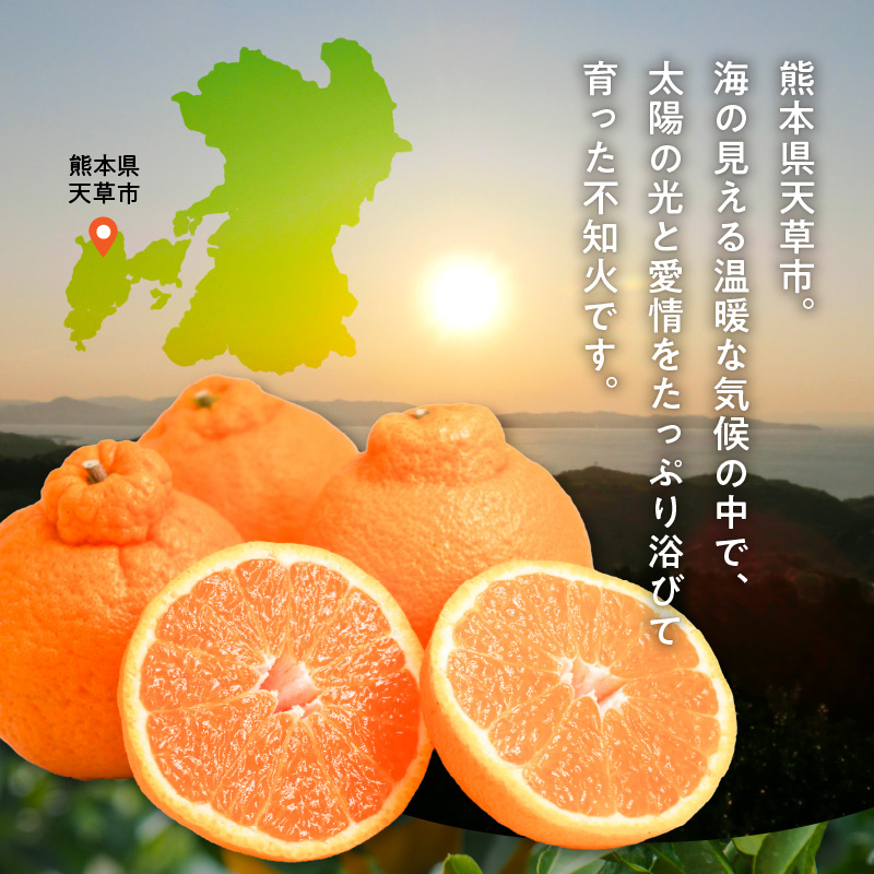 S086-002_井手尾さん家の濃厚いでぽん 不知火 約5kg 柑橘〈先行予約〉