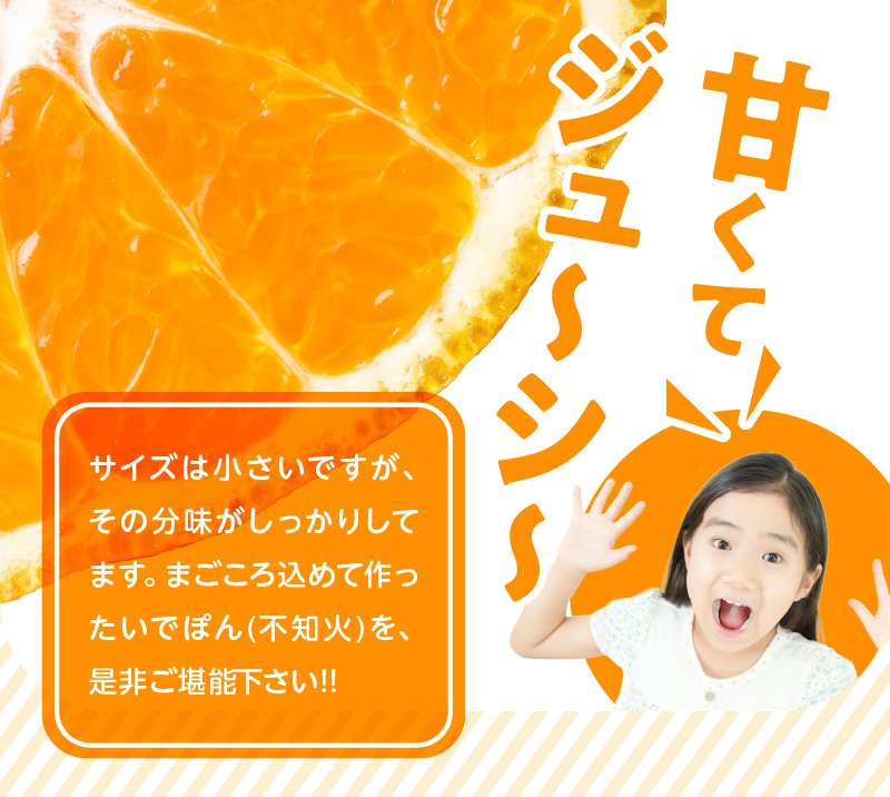 S086-004_井手尾さん家の小さい不知火 約7kg 　家庭用〈先行予約〉