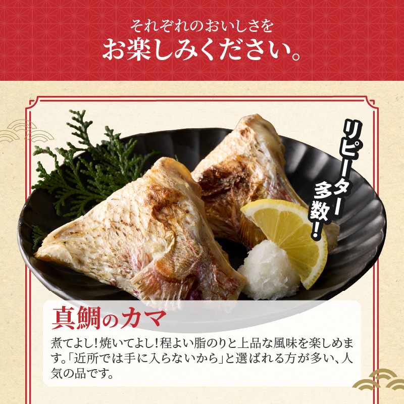 【セット】S106-043_選べる真鯛の晩酌セット（真鯛のカマ・鯛のかつ・醤油漬け） 真鯛のカマ・鯛のかつ・醤油漬け