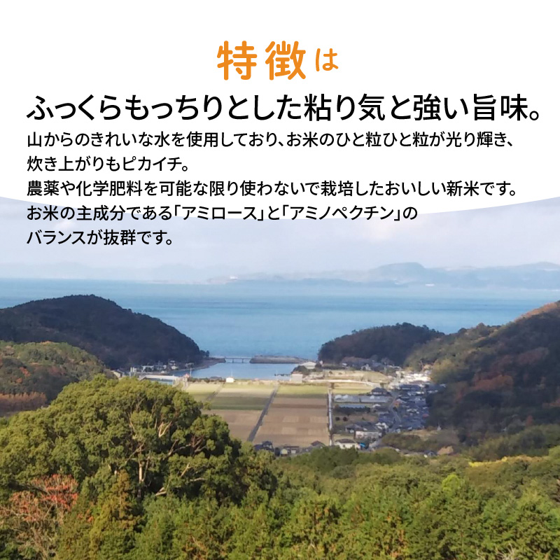 S108-003_〈令和7年産〉熊本県天草産　天草の大地の恵み　新米コシヒカリ6㎏【先行予約】
