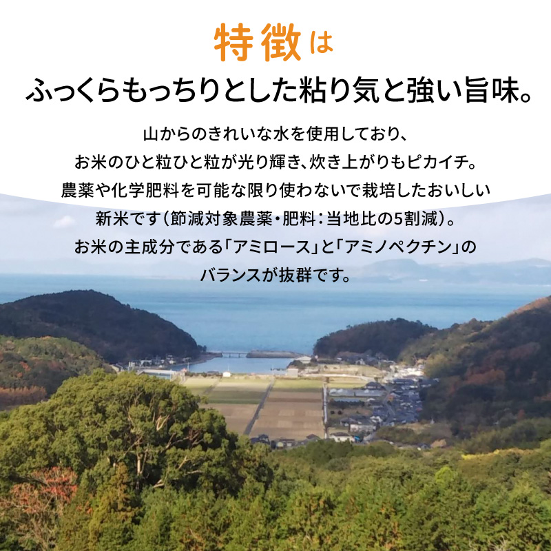 S108-004A_〈令和8年産〉熊本県天草産　天草の大地の恵み　新米コシヒカリ12㎏【先行予約】
