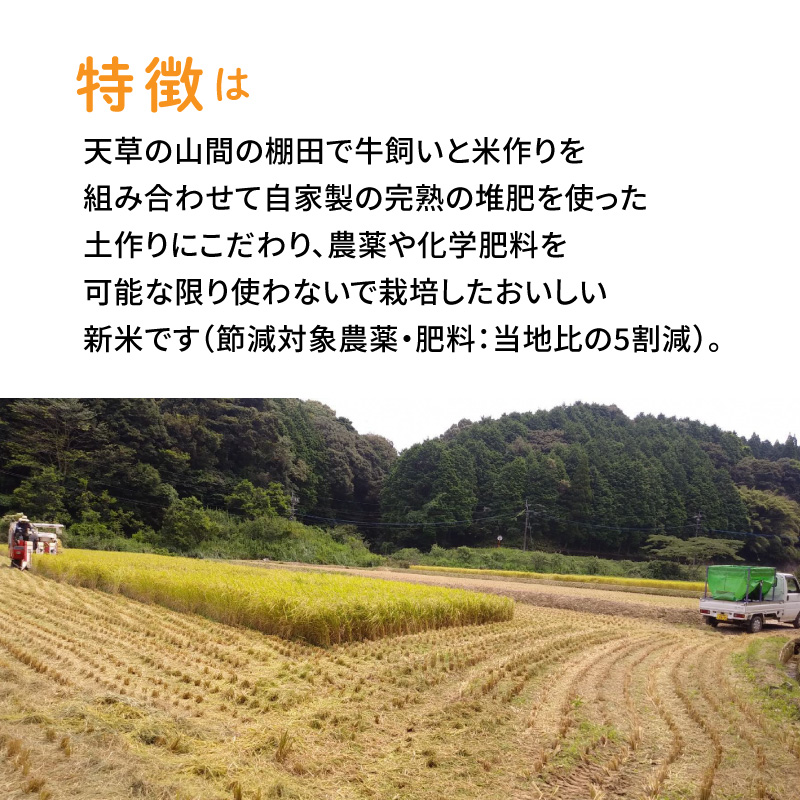 S109-003A_〈令和8年産〉熊本県天草産　天草コシヒカリ6kg（3kg×2）