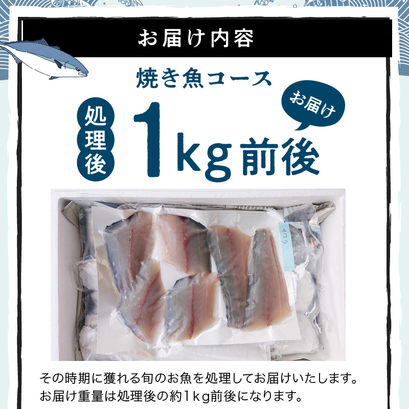 S121-001_焼き魚コース