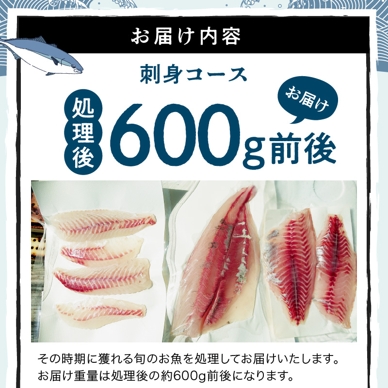 S121-003_刺身コース