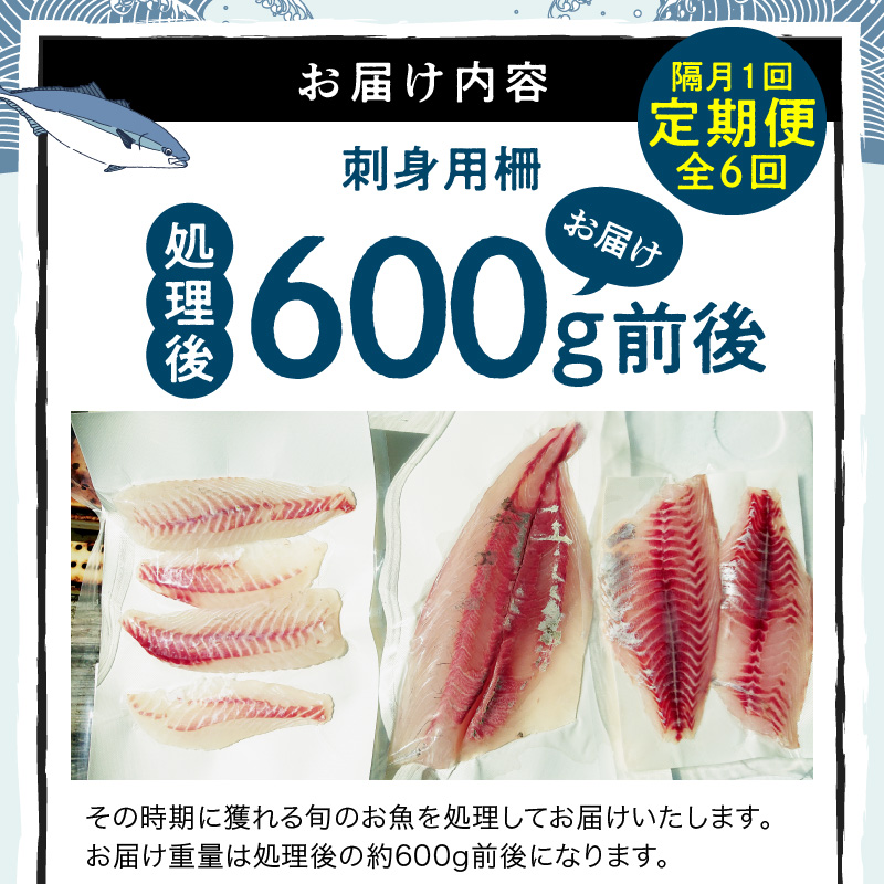 S121-T02_【隔月 6回お届け】天草天然鮮魚を直送　お刺身用柵定期便