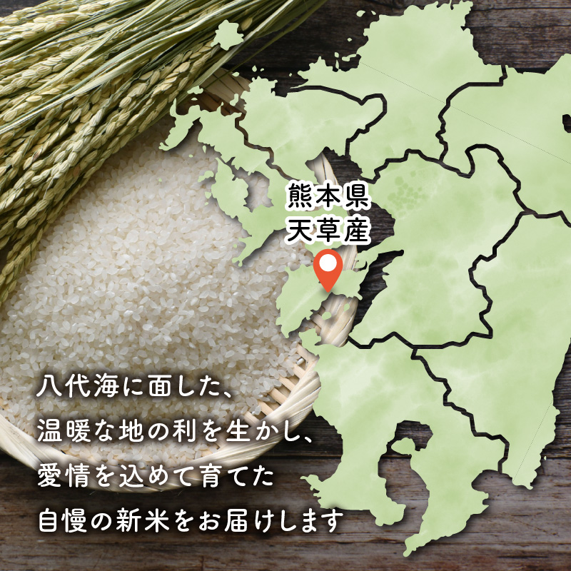 S128-002_熊本県天草産 早期新米 コシヒカリ 5㎏〈令和7年産 先行受付〉