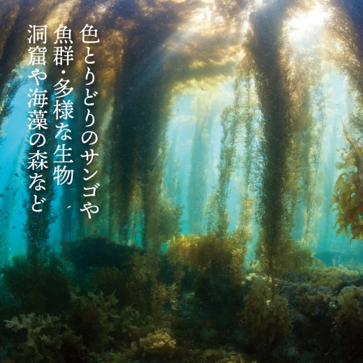 S134-001_よかよか体験チケット3,000円