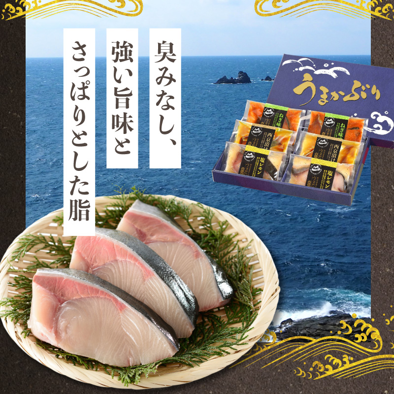 S137-002_うまかぶり 旨タレ仕込み 漬け 3種×2P セット