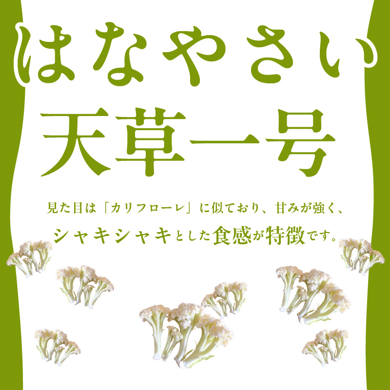 S150-007_スティックカリフラワー (天草一号）1kg 1kg