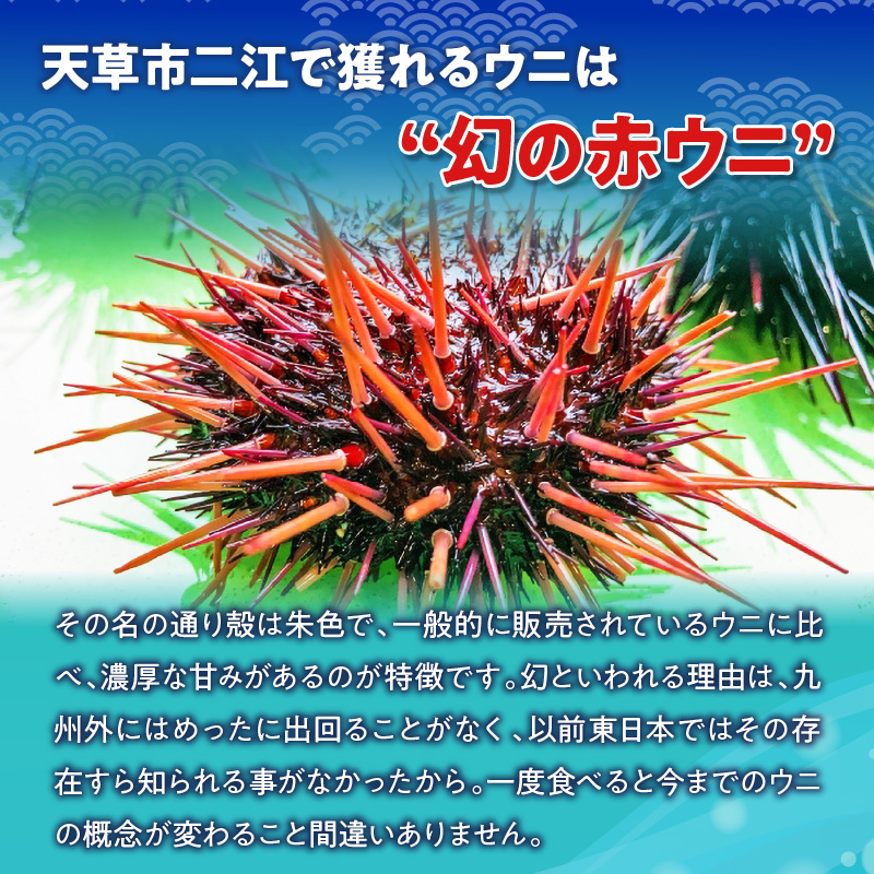 S157-009_天草二江の養殖赤うに 100g 100g