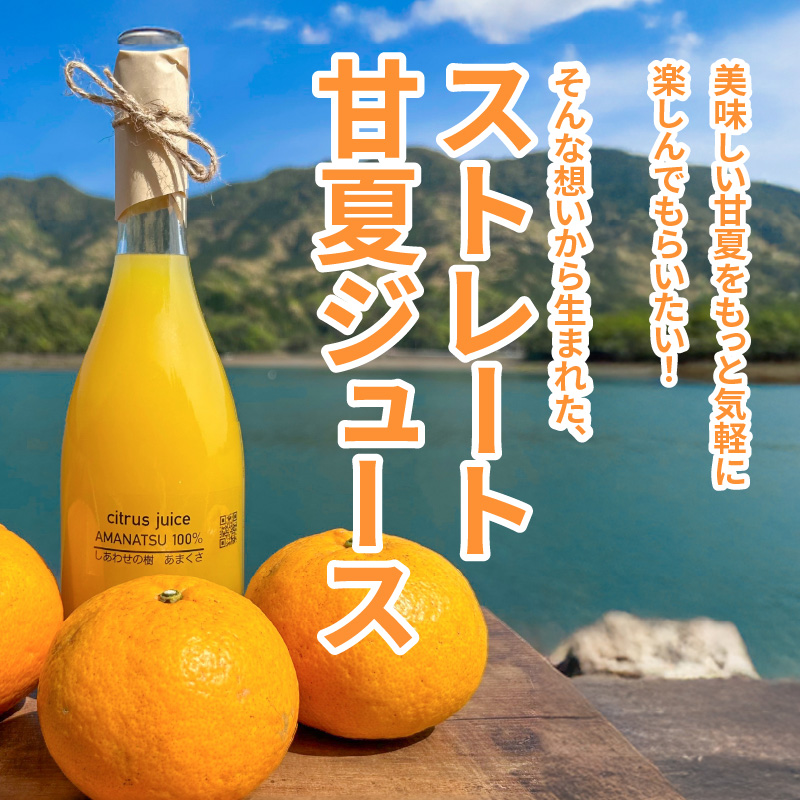 S162-002_甘夏みかんストレートジュース