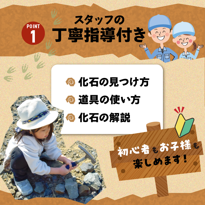 S174-004_化石ディグ利用券(4名様) 4枚