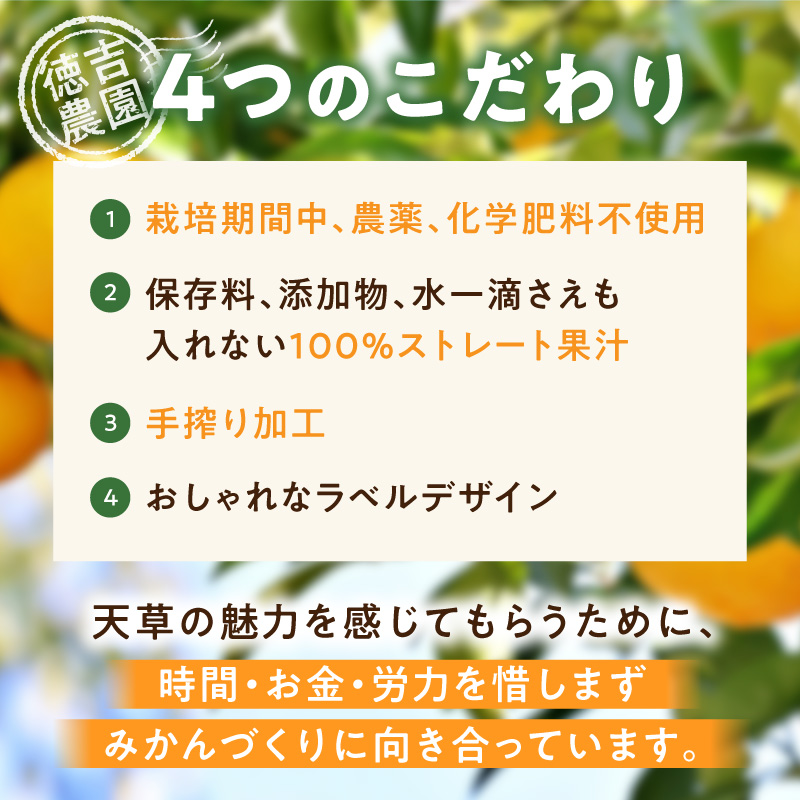 S178-005_アオハル(温州みかん)2本セット