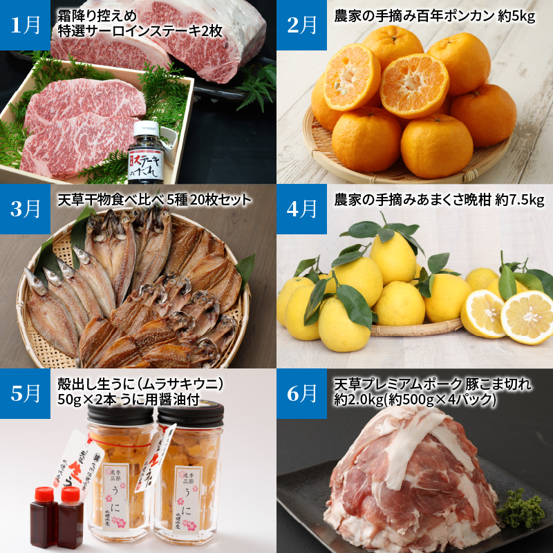 S999-T02_【定期便12回】天草まるごと定期便！12か月間毎月お届け（数量限定！）