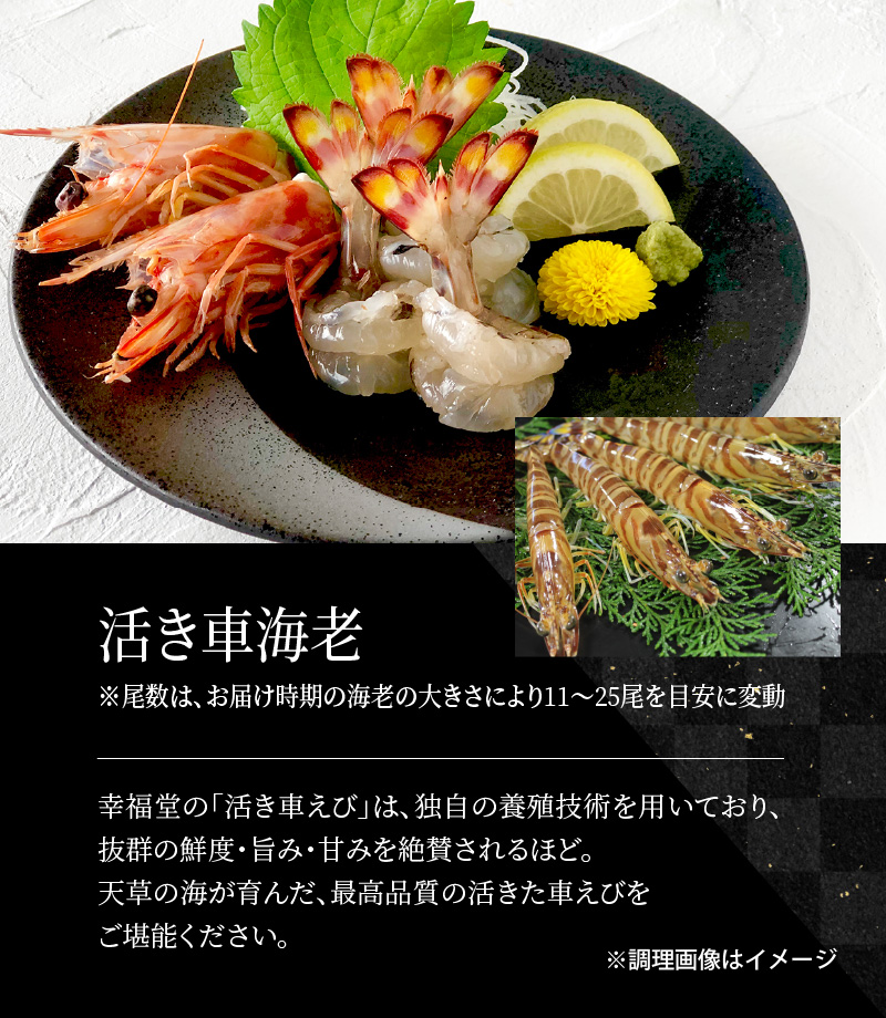 S999-T05_【数量限定】年末に届く年越し特上セット！