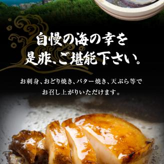 S002-017_天草産 活あわび・さざえ　浜焼きセット　　約2～3人前