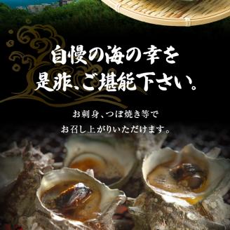 S002-018_活さざえ　1kg超え！　約3人前