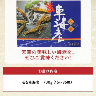 S005-002_【鮮度抜群】厳選・幸福堂の活き車えび(700g)〈先行予約〉