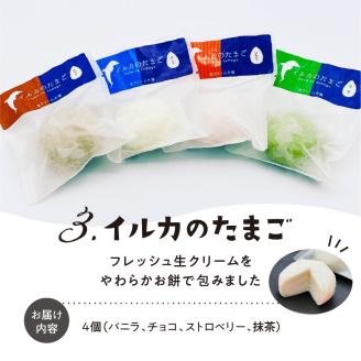 S030-005_熊本・天草ご当地アイスセット