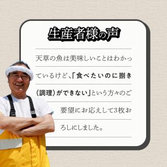 S059-014_天草わくわく旬魚刺身づくし（さく）5～6人前