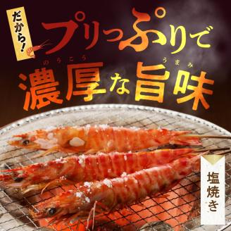 S059-020_特大 車エビ 2パック セット