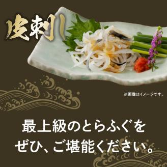 S106-024_とらふぐの宅配セット 3～4人前【firesh】