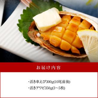 S002-003_活車海老とアワビ詰合せ 車海老 約10尾 アワビ 3～5枚