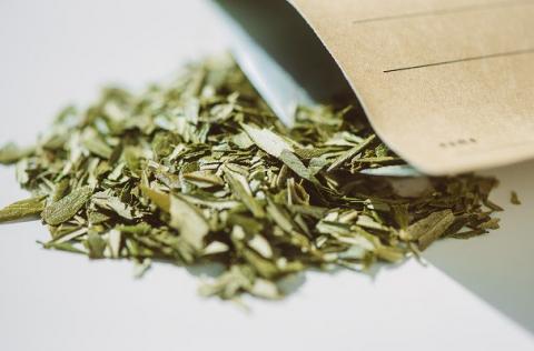 S090-002_オリーブリーフティー(1g×10P)×3袋 コースター1種1枚