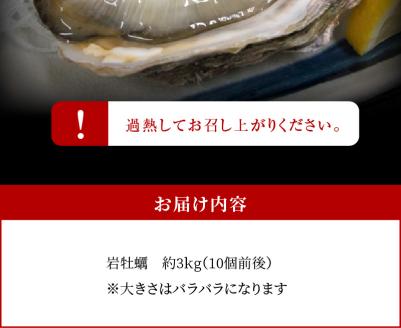 S002-019_岩牡蠣　約3ｋg　約3人前【先行受付】
