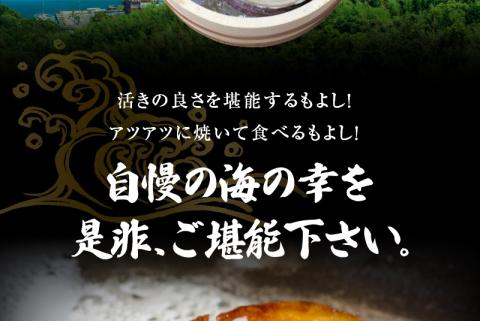 S002-021_【期間限定】大容量！天草の旬！バーベキューセット　約6人前