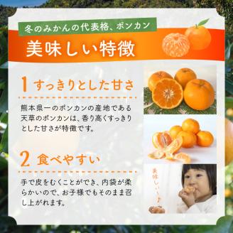 S142-001_天草ポンカン 約5kg箱【先行受付】