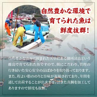 S106-006_西京漬け【5P】