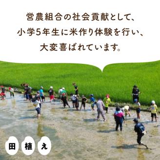 S128-002_熊本県天草産 早期新米 コシヒカリ 5㎏〈令和7年産 先行受付〉
