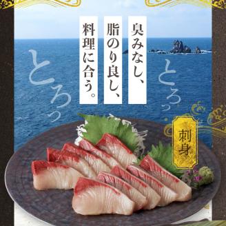 S137-008_【天草育ち】活じめ！新鮮うまかぶり　まるまる1本！（内臓処理済）約3kg