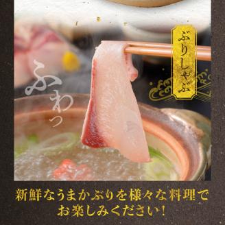 S137-009_【天草育ち】活じめ！うまかぶり生鮮フィーレ 約1.2kg（真空パックでお届け）