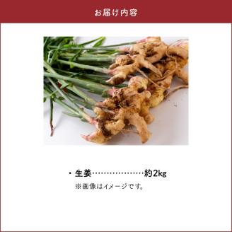S143-004_生姜約2kg【先行受付】