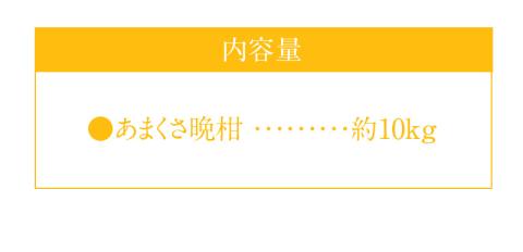 S149-002_あまくさ晩柑 約10kg【先行受付】 約10kg