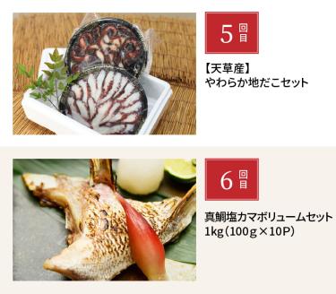 S999-T03_【定期便6回】天草の海の幸「簡単調理だけど美味い！」をお届け