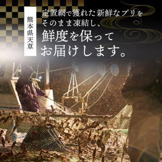 S147-001_天然ブリ ブロックセット２～４人前（冷凍）